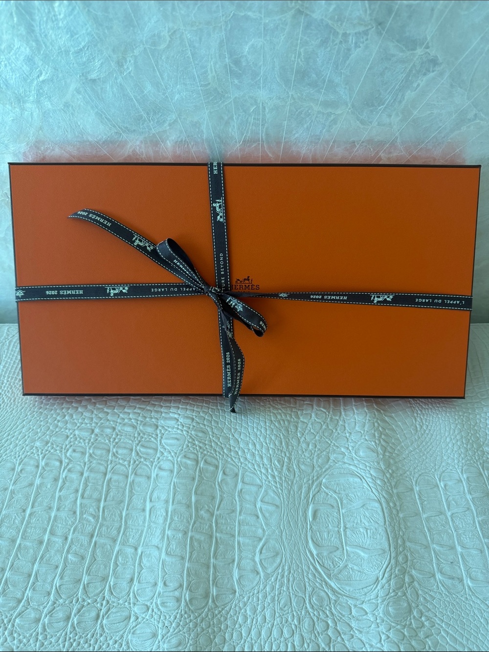 Hermes rectangular Brand New. T-Shirt,Scarf, belt, jewelry, TWILLY or a gift box